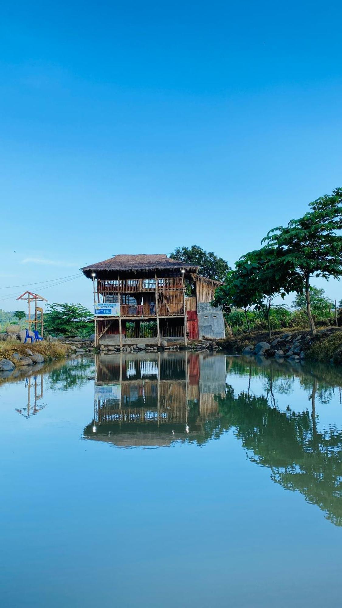 Tiu Batu Homestay Alas Eksteriør bilde